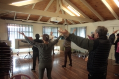 Tai Chi Qigong Class