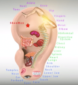 Ear Massage Accupressure Points