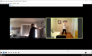 Private Online Qigong Class